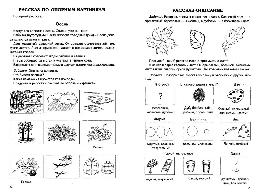 Картинки По Лексической Теме Деревья